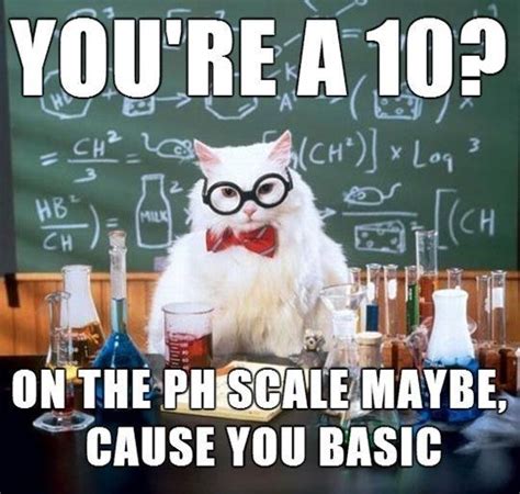 The Absolute Best Of Chemistry Cat Chemistry Jokes Science Humor