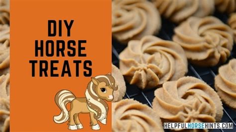 Healthy Homemade Horse Treats Recipe Besto Blog
