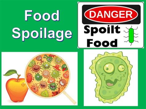 Ks3 Food Whole Lesson On Food Spoilage With Power Point And Worksheet