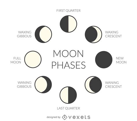 Illustrated Moon Phases Vector Download Moon Phases Drawing Moon Phases Moon Phases Art