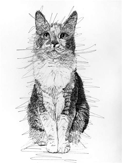 Contemplative Kitty Cats Art Drawing Scribble Art Scribble Drawing