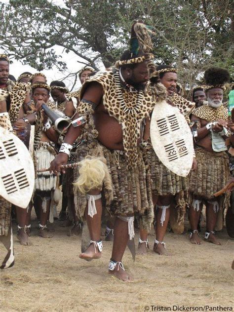 How I View Africa African Tribes Zulu Warrior Zulu