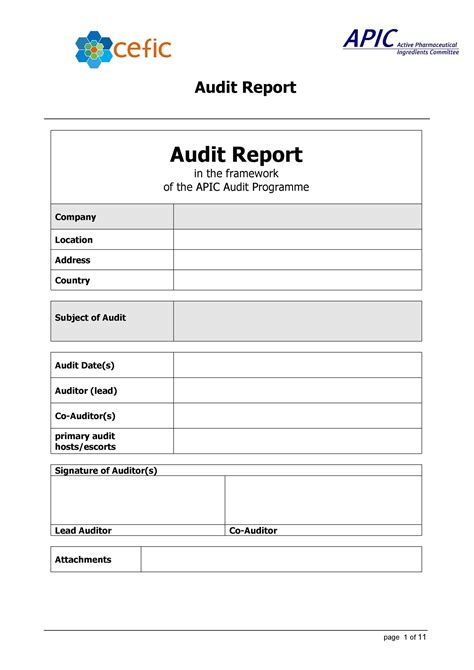 Outrageous Revenue Audit Report Format In Excel Free Home Budget Worksheet