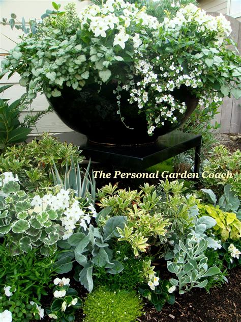 Pin By Theresa On The Personal Garden Coach Garden Containers Dream