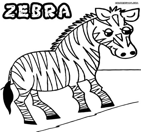 Zebra coloring pages | Coloring pages to download and print