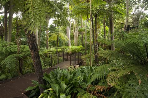 Royal Botanic Gardens Victoria | Things to do in Melbourne, Melbourne