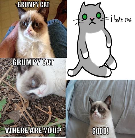 Grumpy Cat Grumpy Cat Know Your Meme
