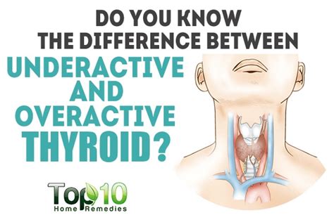 Do You Know The Difference Between Underactive And Overactive Thyroid