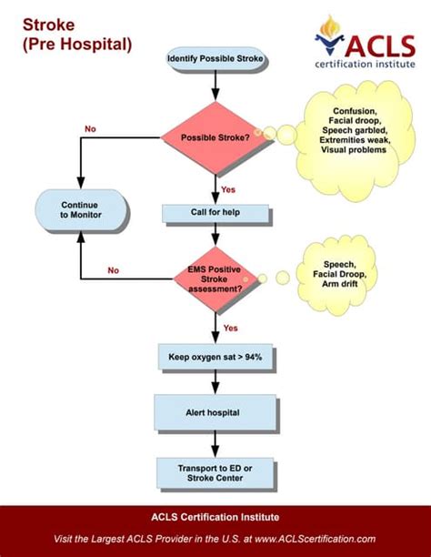 Adult Suspected Stroke Algorithm Pdf