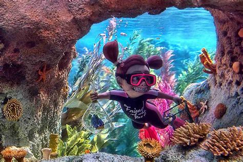 Finding Nemo Ride At Disneyland Things You Need To Know