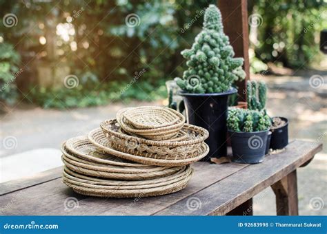 Hand Made Rattan Dish In Front Of Cactus Pot Stock Photo Image Of