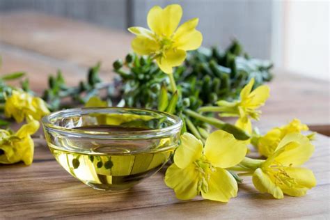 Considering taking an epo supplement for hair regrowth comes down to personal preference. Evening Primrose Oil: Uses, Benefits, Dosage, and Side Effects