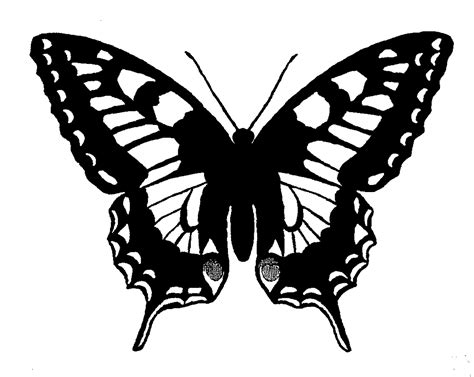 Butterfly Silhouette Svg Butterfly Silhouette Side View Facing Left