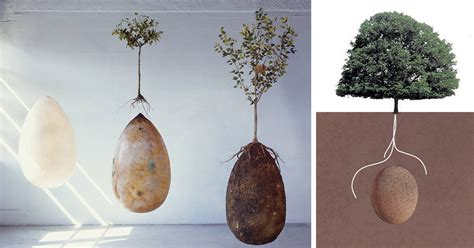 Forget Coffins Organic Burial Pods Will Turn Your Loved Ones Into