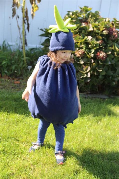 Baby Blueberry Costume Blueberry Costume Kids Costume Childs