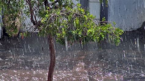 Дождевая вода проблемы Vladyulia — Livejournal