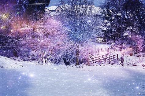 Magical Snow Scene By Brenda Anderson Redbubble