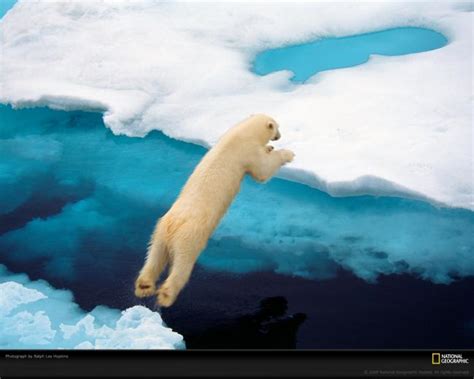 Free Download Geographic Wallpapers 049 National Geographic Photography