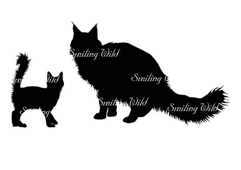 Maine Coon Cat Silhouette Svg Clipart Mainecoon Kitten Vector Etsy