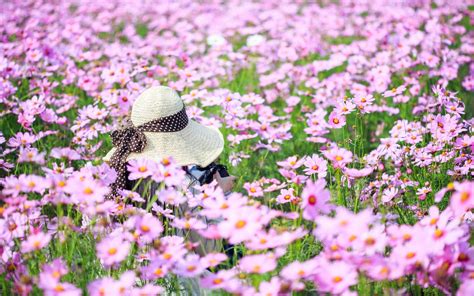 summer flowers field girl mood 6992381