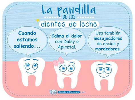 Cómo Cuidar De Los Dientes Tu Bebé Clinica Dental Pablo Larriba