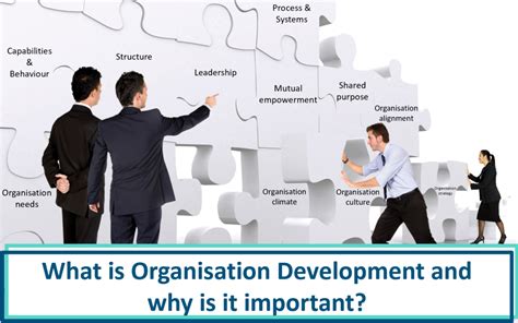 What Is Organisation Development And Why Is It Important Blackmore Four