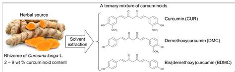 Curcuminoids Extracted From The Rhizome Of Turmeric Curcuma Longa L
