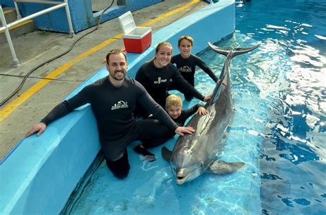 Dolphin Discovery At Six Flags Discovery Kingdom Macaroni Kid Lodi