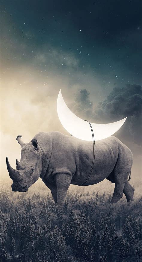 Background Rhino Wallpaper Discover More Animal Large Rhino