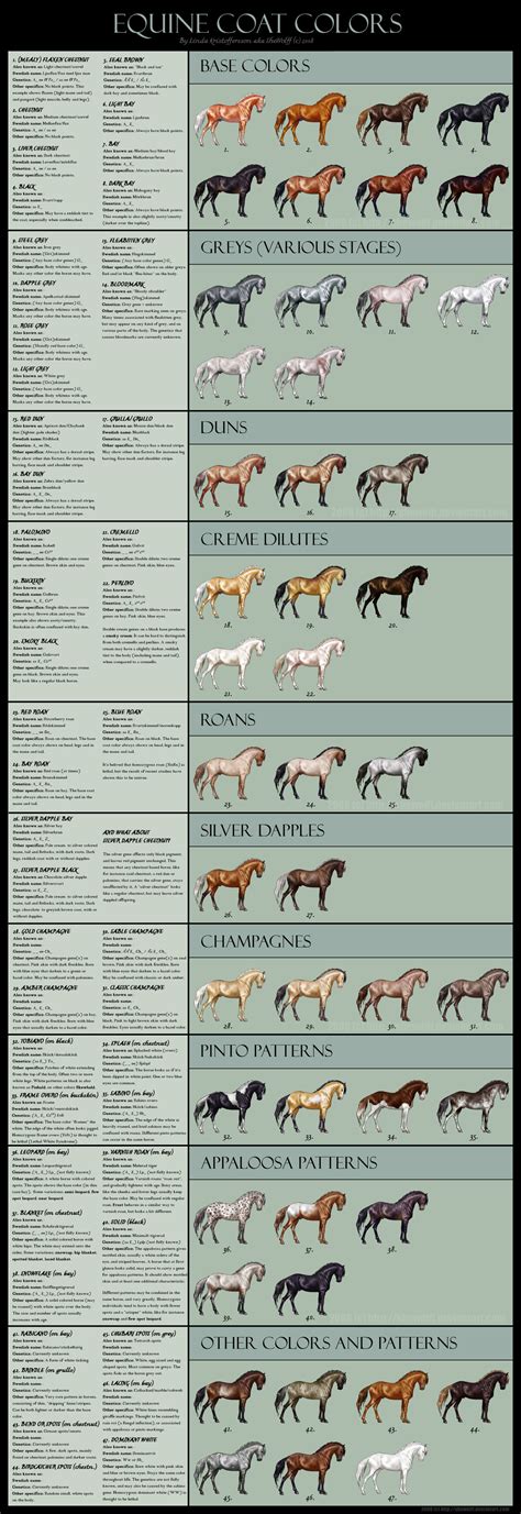 wesco farms miniature horses horse conformation info equine coat colors
