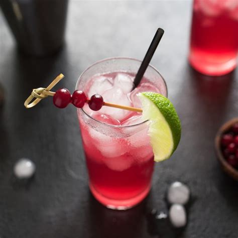 How To Make A Vodka Cranberry That Ll Rival A Bartender S I Taste Of Home