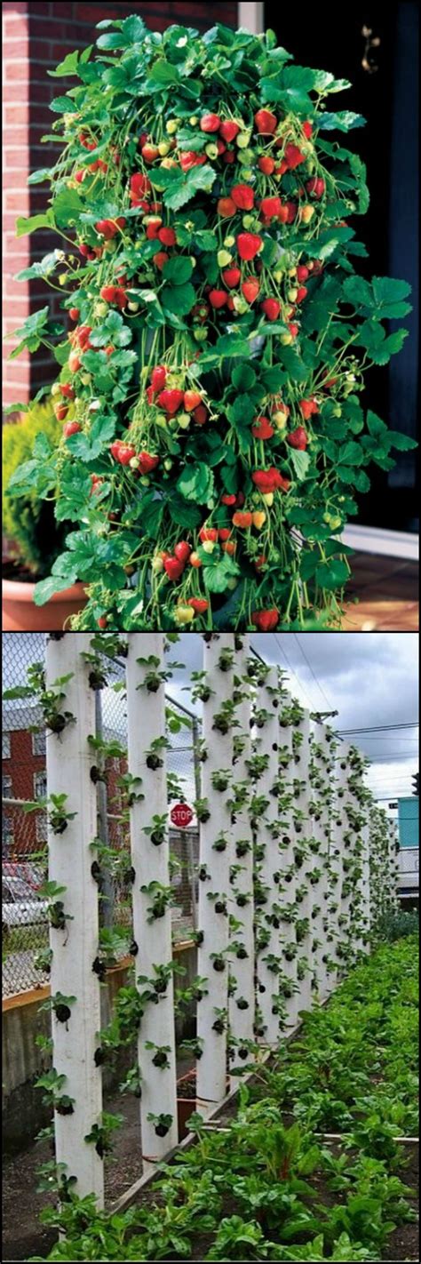 Vertical gardens are perfect for those who are limited on garden space! How to make your own Vertical Planter | Guest Gardeners ...