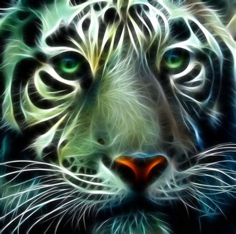 Big Cats Art Cat Art Tiger Art Tiger Cubs Colorful Animals Step By