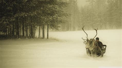 Reindeers Wallpapers Wallpaper Cave Afalchi Free images wallpape [afalchi.blogspot.com]