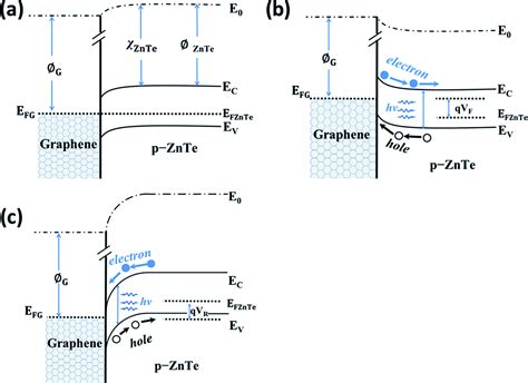 The diode detector has a frequency range of 0.01 to 18.5 ghz with a frequency response that runs at ± 0.5 db. p-type ZnTe:Ga nanowires: controlled doping and ...
