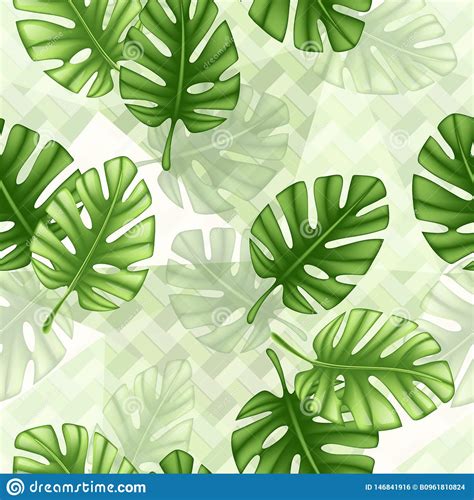 Tropical Seamless Pattern With Leaf Monsterafabric