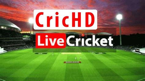 Crichd Your Ultimate Gateway To Cricket Entertainment Amlp Verse