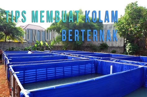 Pembangunan kolam dengan tembok membutuhkan biaya yang lebih mahal. cara-membuat-kolam-terpal-1 | Terbukti No #1 Pusat Kolam ...