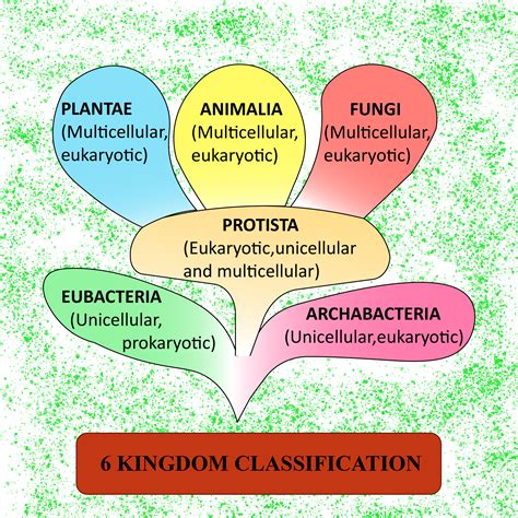 Kingdom Biologi Homecare24
