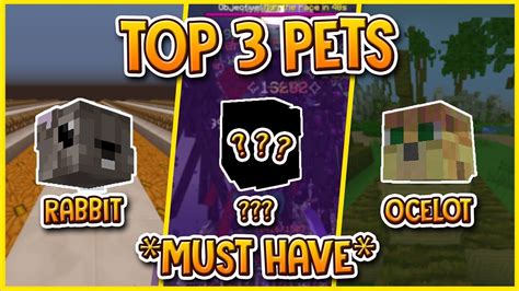 HYPIXEL SKYBLOCK | TOP 3 PETS YOU *MUST HAVE* - YouTube