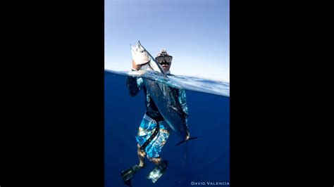 Spearfishing Baja Youtube