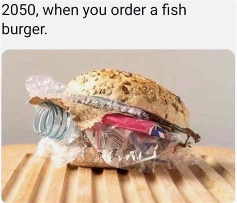 Comment Below Fish Burger Fish Funny Pictures