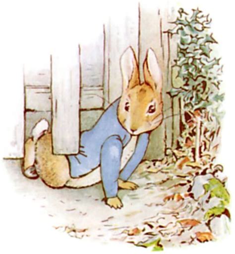 Illustrations From Beatrix Potters Peter Rabbit
