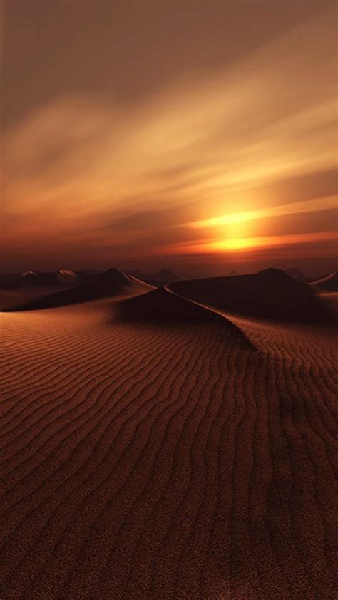 Desert Sunset Backiee