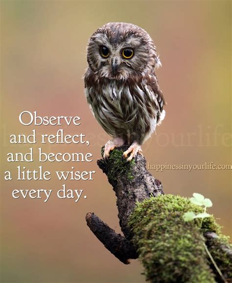Owl Sayings And Quotes Quotesgram