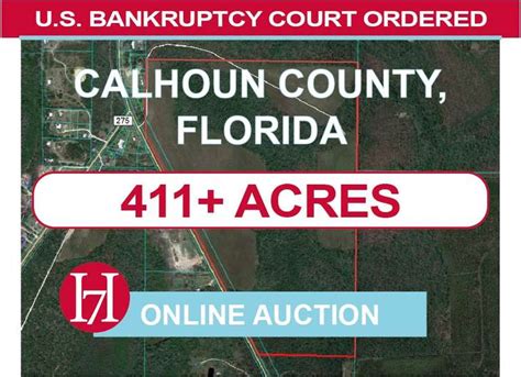 If your median income is above florida's median family income, then you must complete a means test. U.S. Bankruptcy Court Ordered Auction: Calhoun County, FL ...