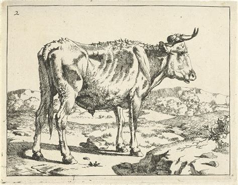 Bull Standing By A Rock Marcus De Bye After Paulus Potter 1728 C 1761