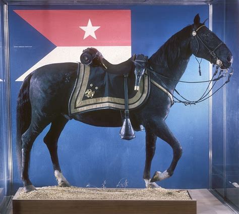 The War Horse Of The Civil War National Museum Of American History
