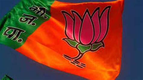 Party doesn't chooses it symbol they are alloted by election commission therefore, searching logic you can search for election manifesto or party ideology. BJP appoints Tala Marandi its Jharkhand unit president