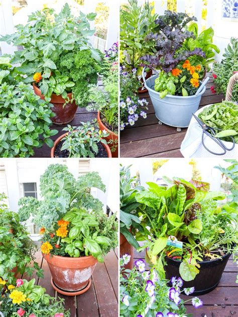 Department of agriculture plant hardiness zones 4. how to grow a kitchen garden in pots - my lovely little ...